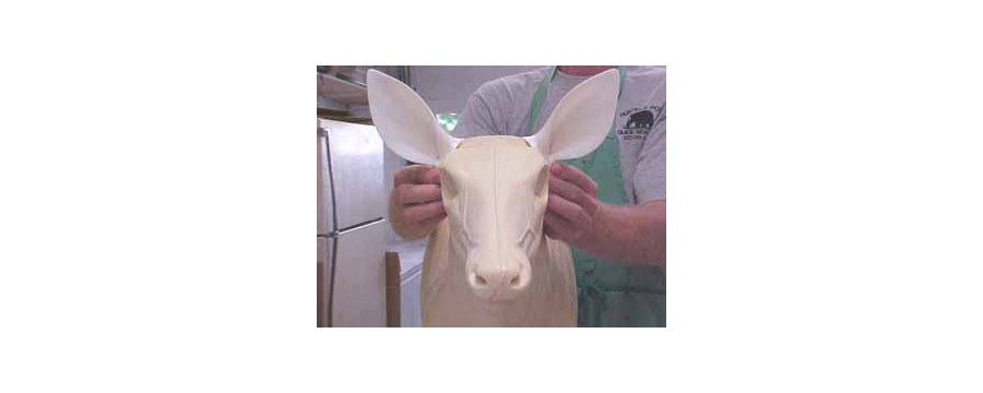 Celastic taxidermy deer ears